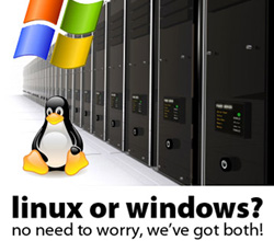 Web Hosting